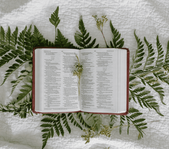 sacred books