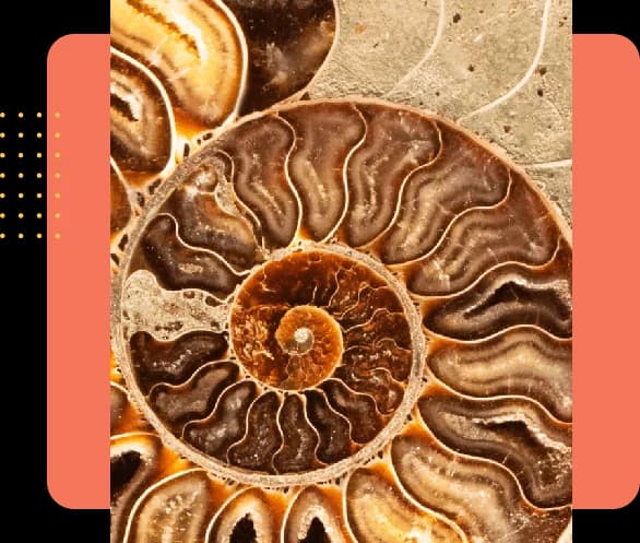 Understanding the paradoxes of modern life