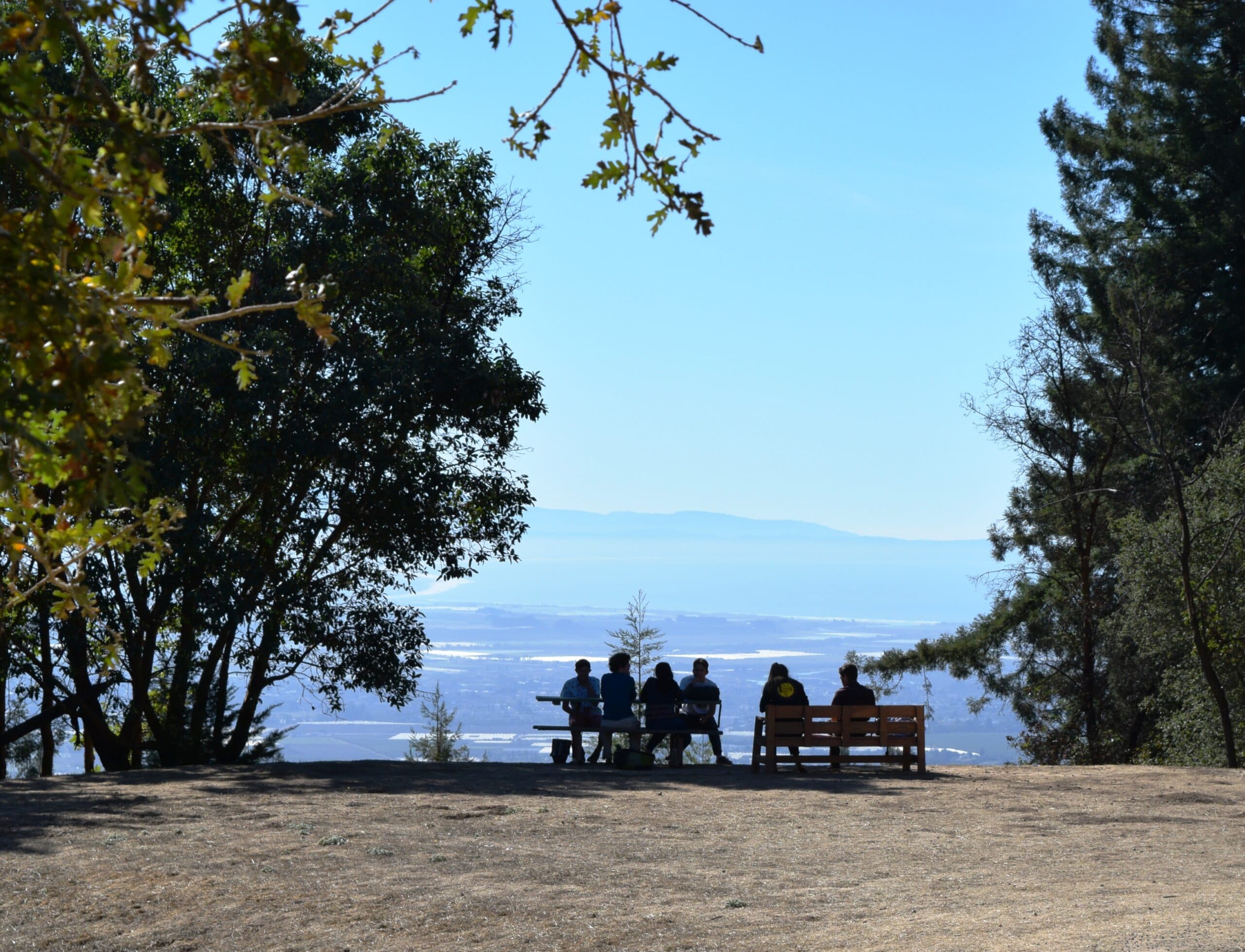 Library event with community members