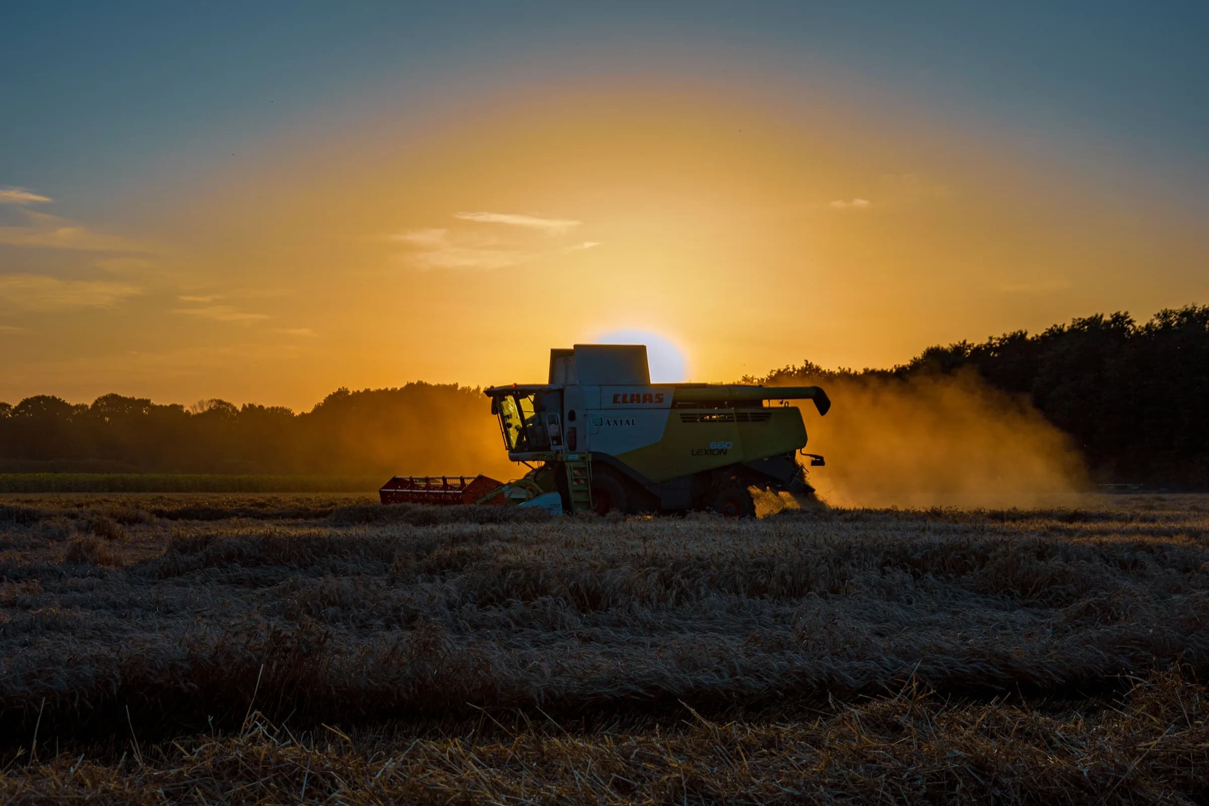 A combine harvester cutting wheat at sunset, dust glowing gold behind it