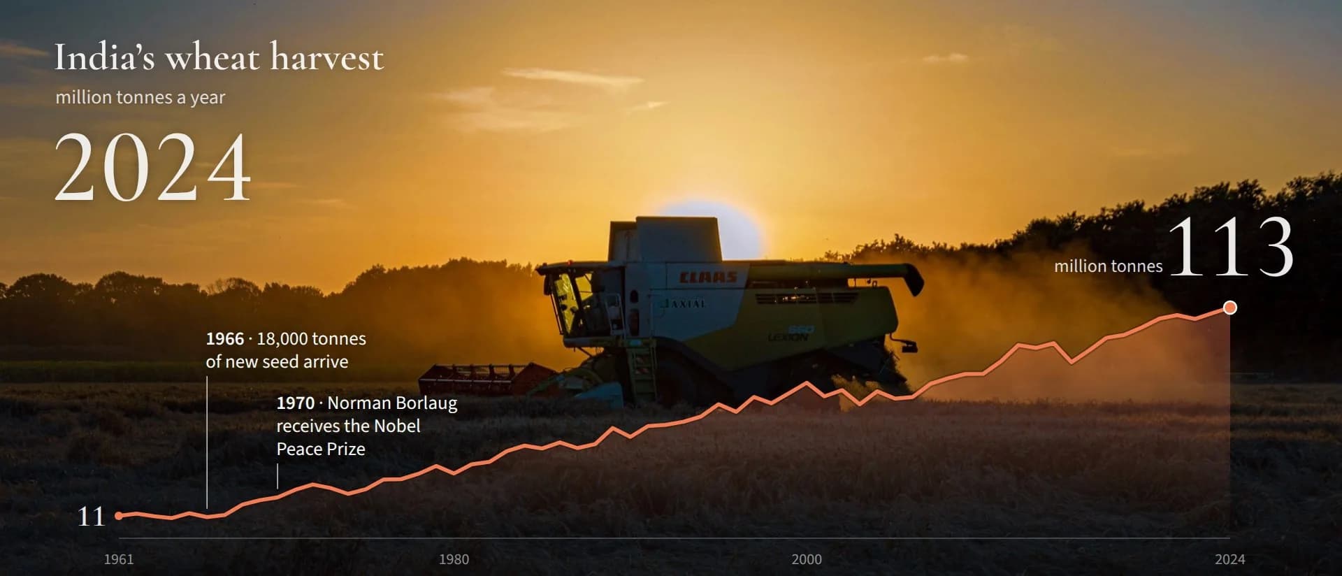 India’s wheat harvest, 1961 to 2024: from 11 million tonnes to 113 million. In 1966, 18,000 tonnes of new seed arrive; in 1970 Norman Borlaug receives the Nobel Peace Prize.