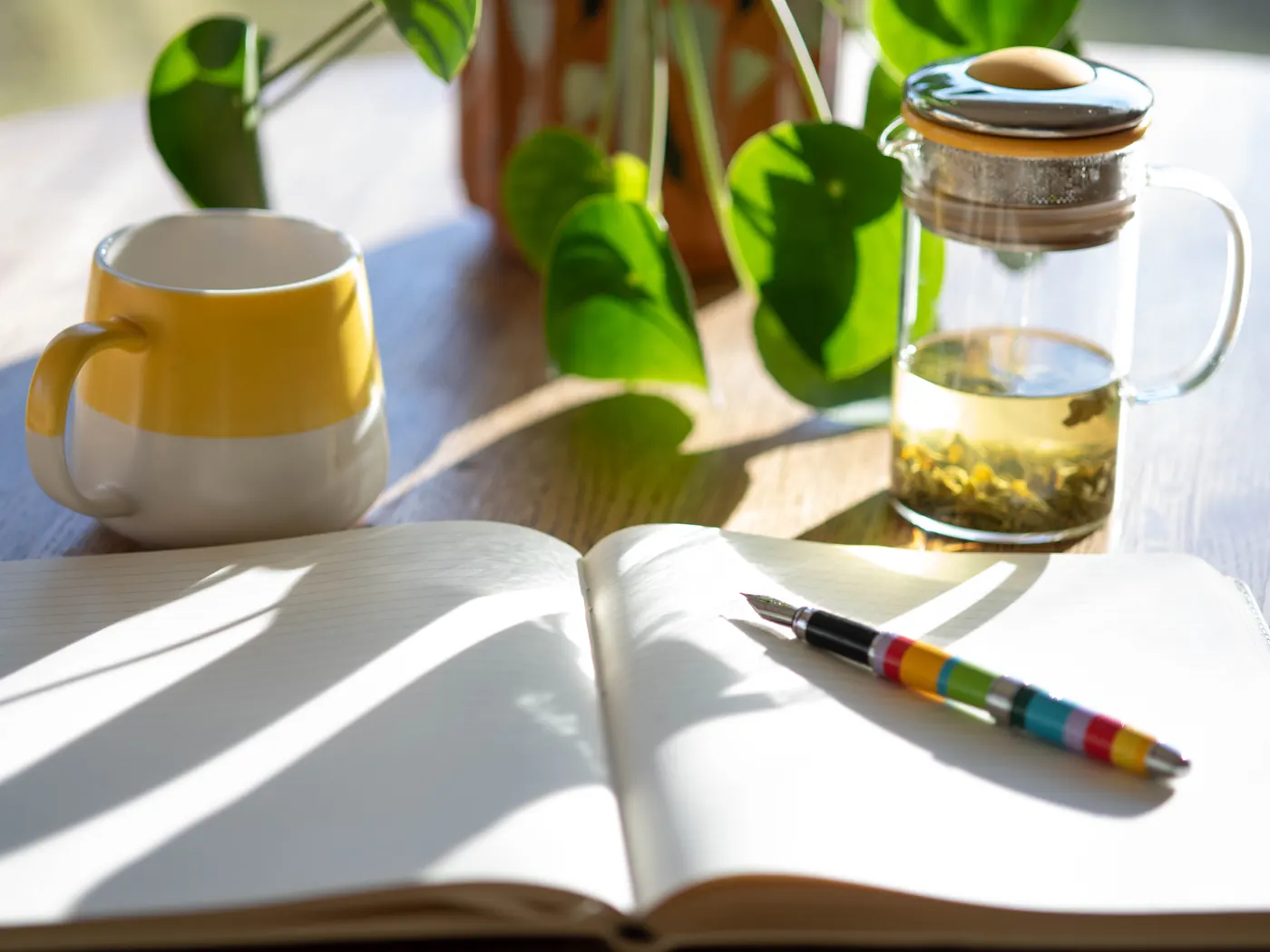 An open journal and a cup of tea in morning sunlight