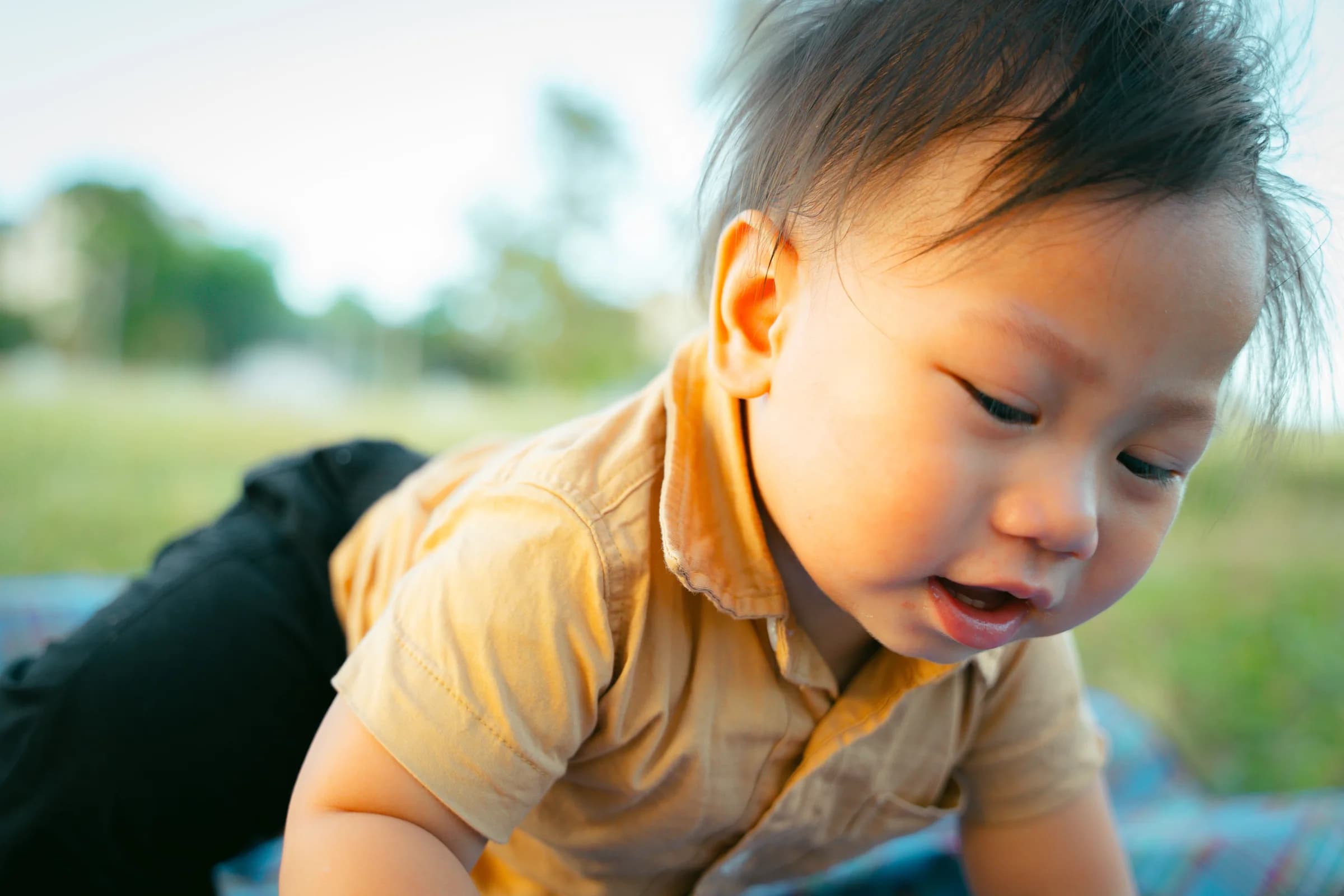 A toddler on his tummy in the grass, lit by the sun, gazing intently at something just out of frame