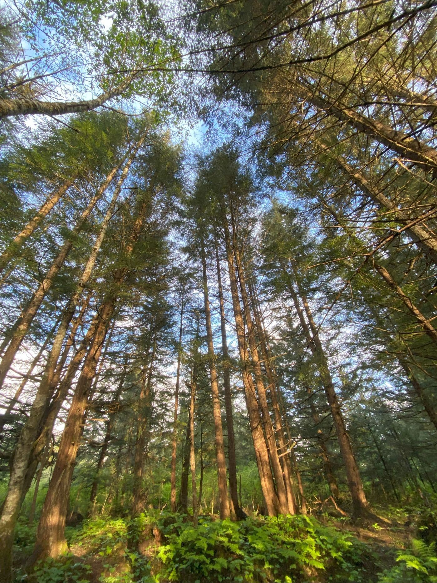 interconnectedness