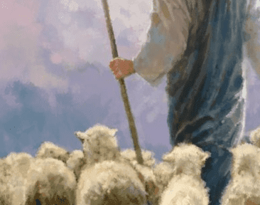 Prophets as Shepherds