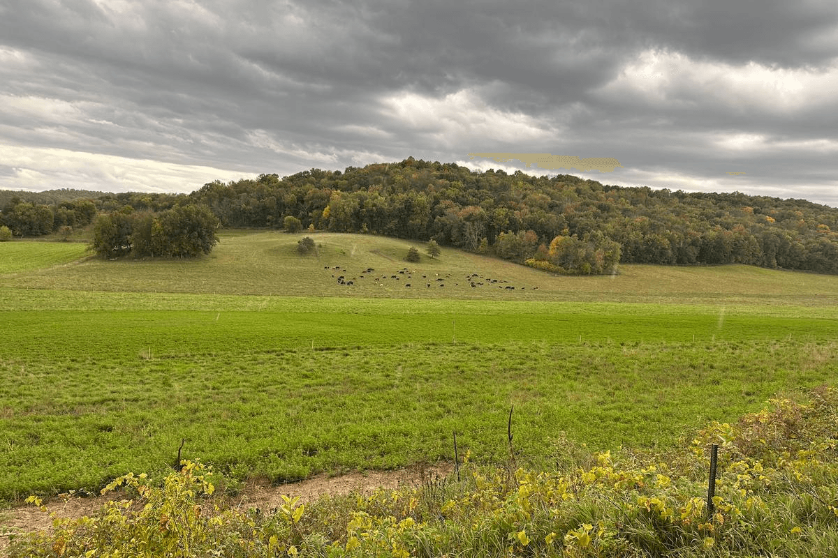 Recommended reading: Craig Maier on farming and a land ethic