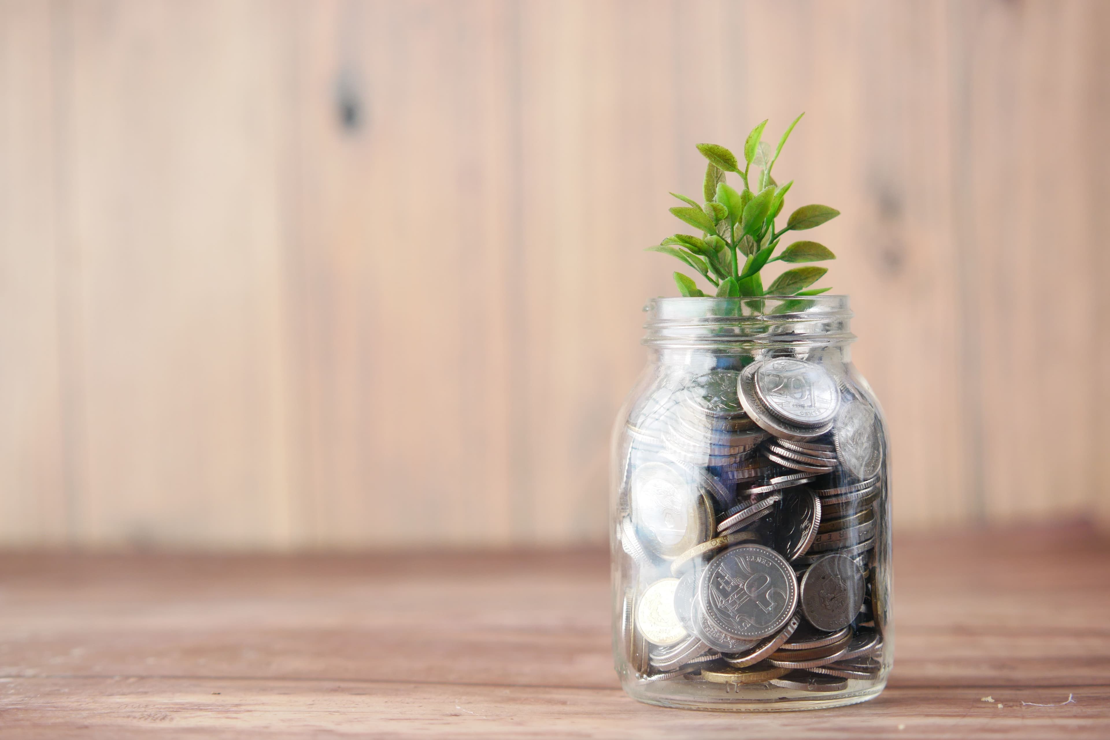A glass jar filled with coins, with a small green plant growing from the top.