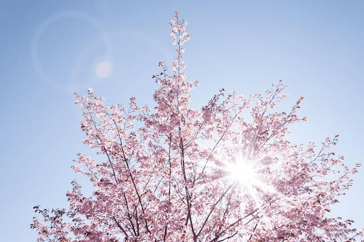 The Link Between Self-Worth And Lasting Joy