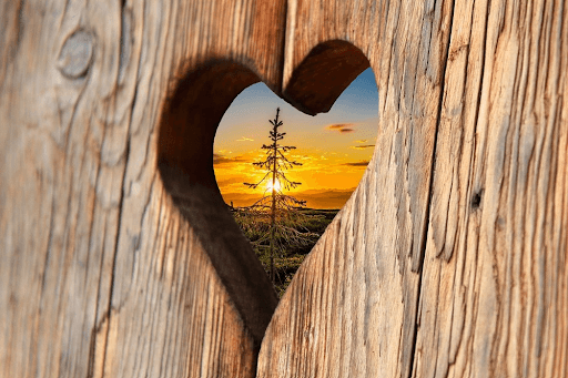 From the Heart of a Mystic: 50+ Rumi Quotes on Love to Inspire and Heal
