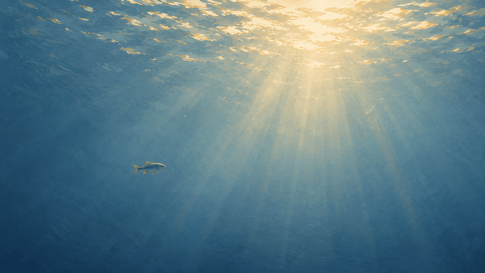 Fish swimming in clear water, illustrating the idea of the examined life and noticing what surrounds us