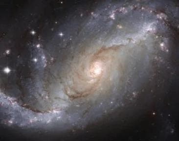The Mayaverse