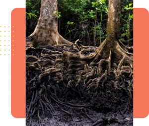 Hindu Upanishads