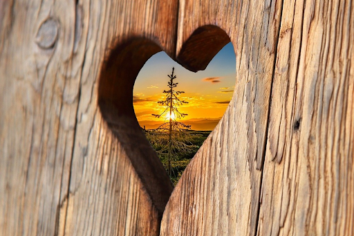 From the Heart of a Mystic: 50+ Rumi Quotes on Love to Inspire and Heal