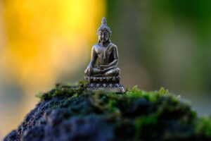How Spirituality Nourishes Science