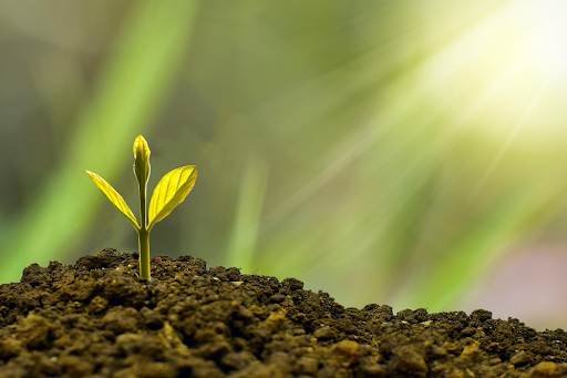 Spiritual Growth Through the Bhagavad Gita: Lessons for the Modern Soul.